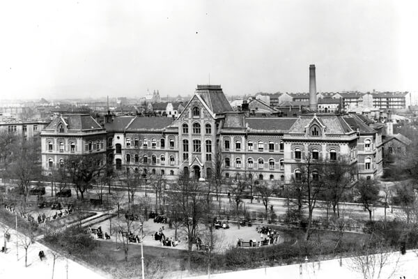 تصویر قدیمی از دانشگاه سملوایز مجارستان