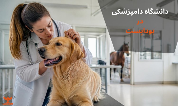تحصیل در دانشگاه دامپزشکی بوداپست