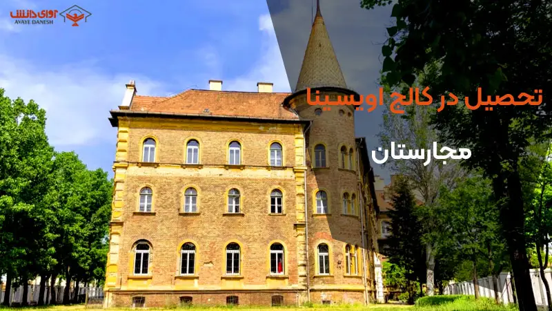 تحصیل در کالج اویسینا مجارستان 2025 / هزینه و شرایط