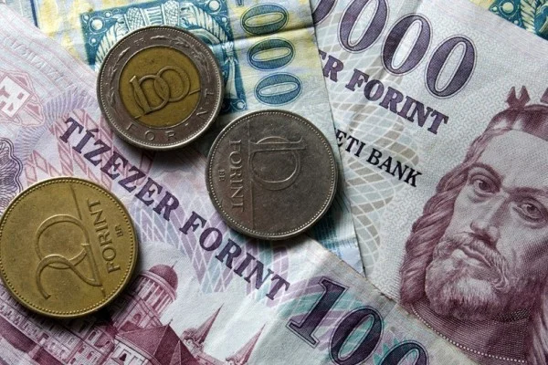 درآمد و قدرت خرید در اقتصاد کشور مجارستان
