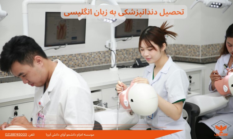 تحصیل دندانپزشکی به زبان انگلیسی